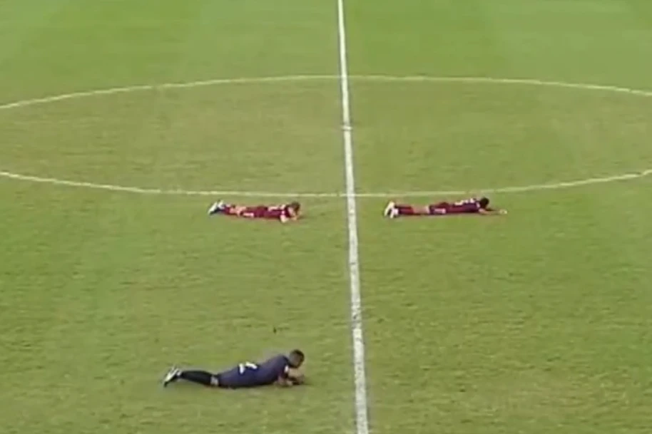 Un enjambre de abejas interrumpe el partido de Bahía y Fluminense